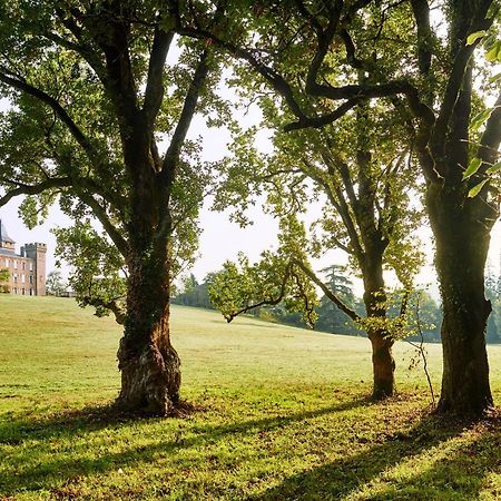 Chateau De Sibra Lagarde  Экстерьер фото
