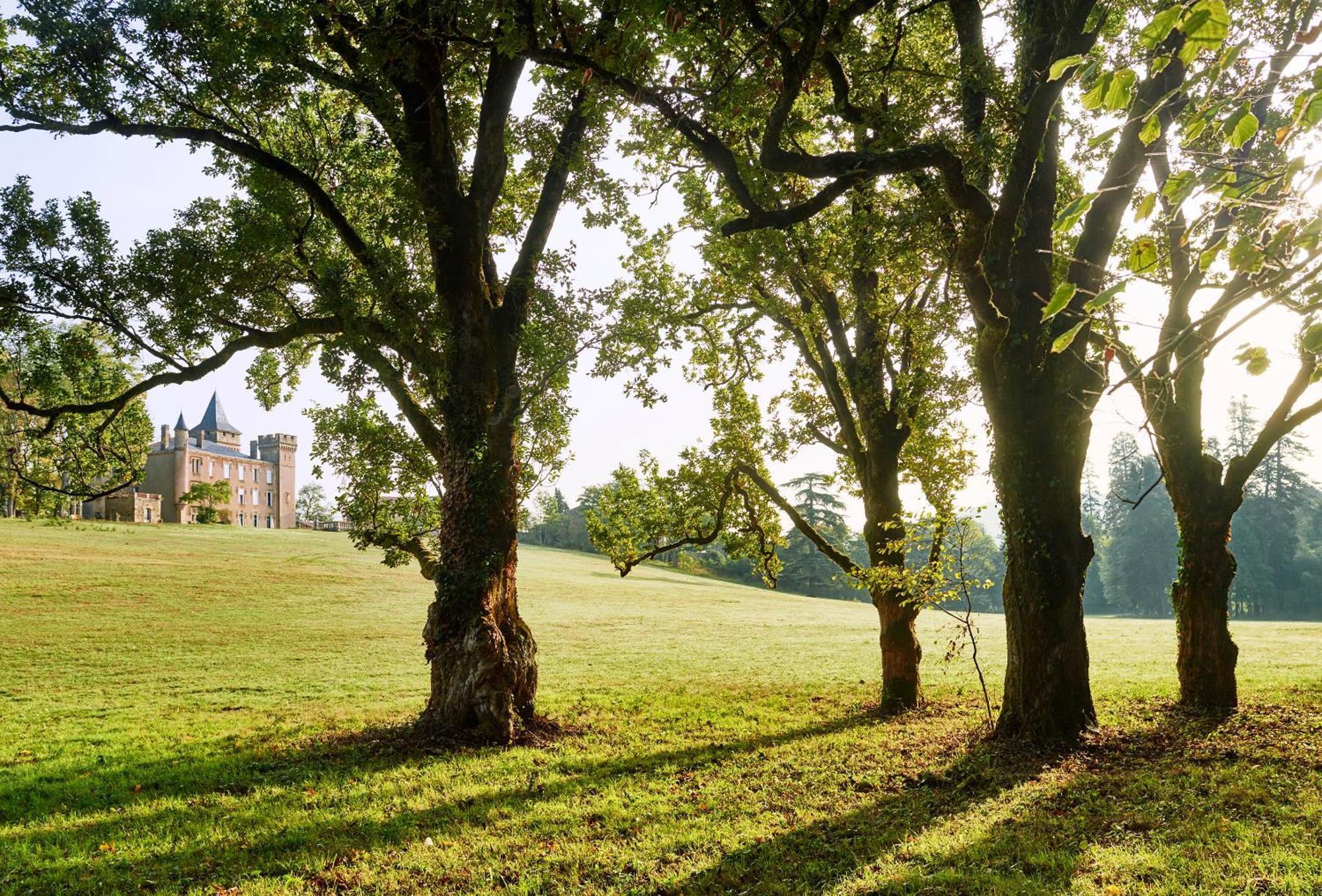 Chateau De Sibra Lagarde  Экстерьер фото